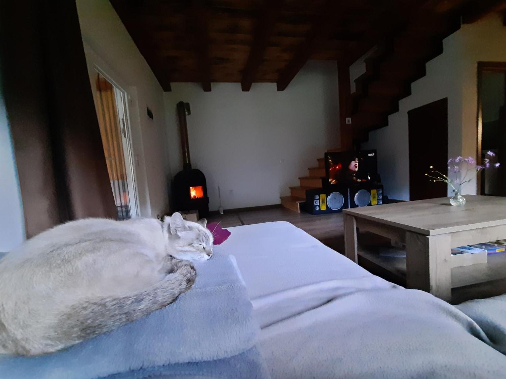 Mountain Cozy Home Zeteváralja Kültér fotó